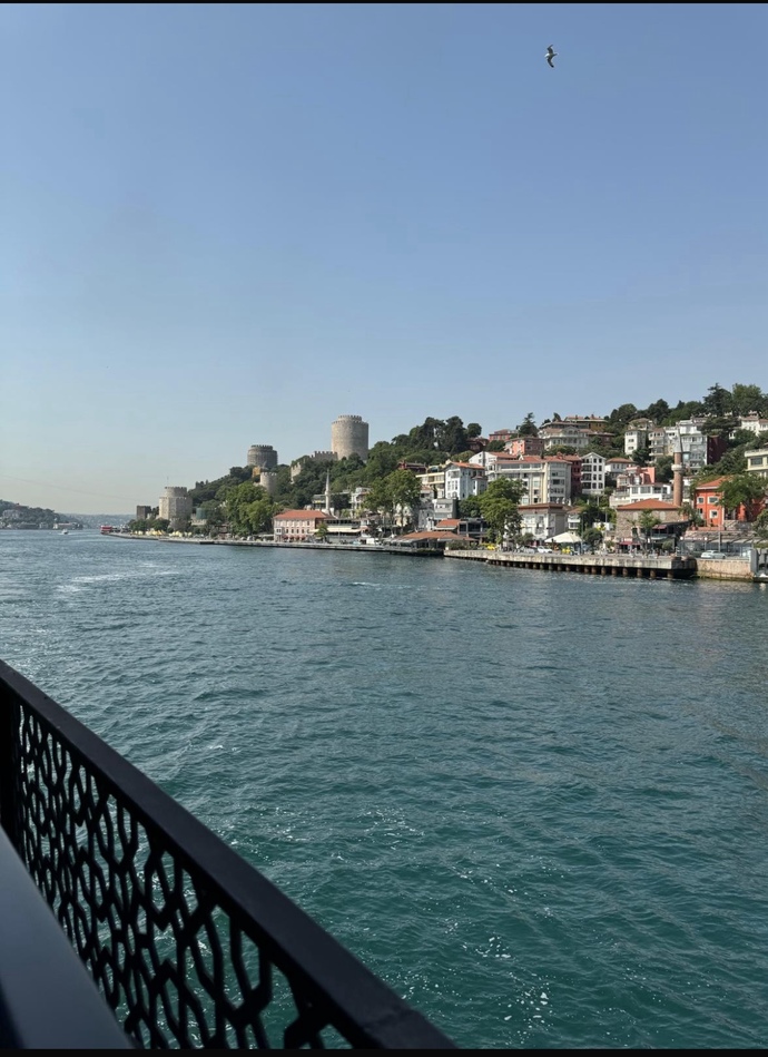 En son neye hayran kaldınız veya beğendiniz?