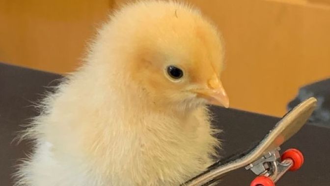 Eski sevgilinize bayram mesajı atacak mısınız?