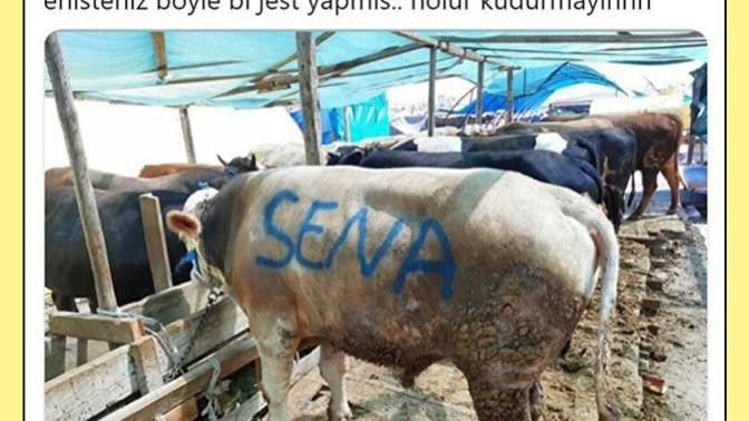 Romantik biri olduğunuzu düşünüyor musunuz?
