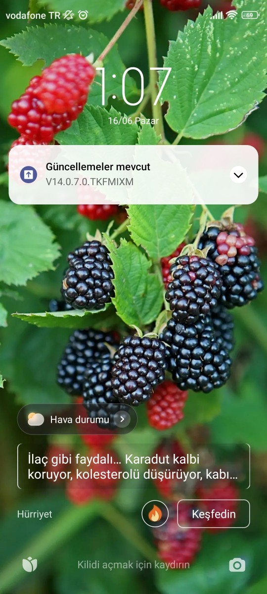 Telefon duvar kağıdınıza puan vereyim mi?