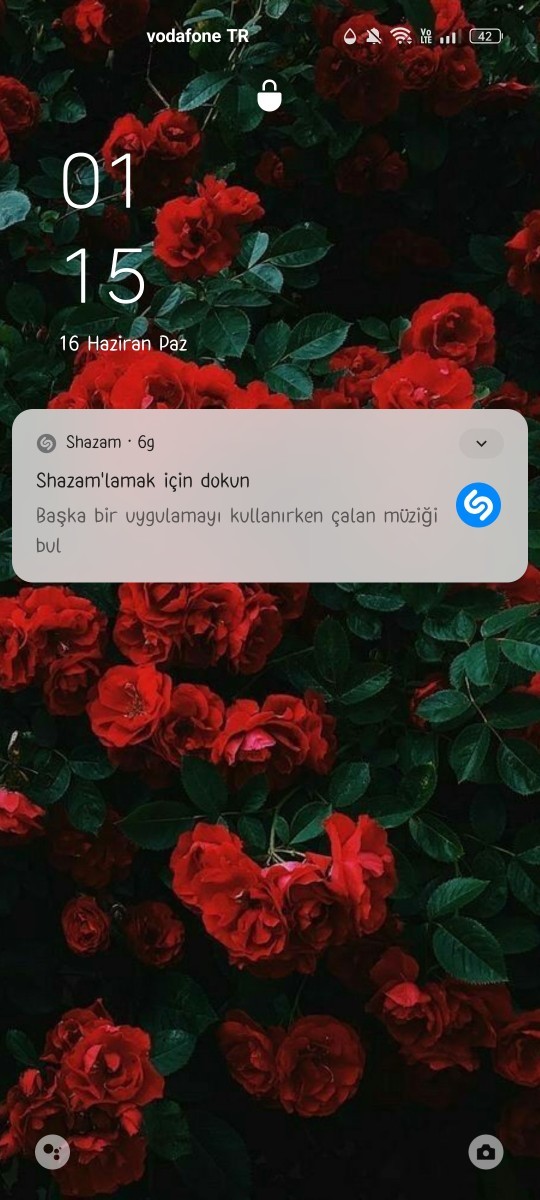 Telefon duvar kağıdınıza puan vereyim mi?