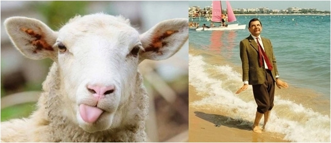 Bayram sizin için ziyaret mi, tatil mi?