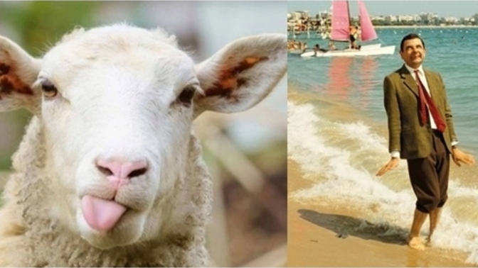 Bayram sizin için ziyaret mi, tatil mi?