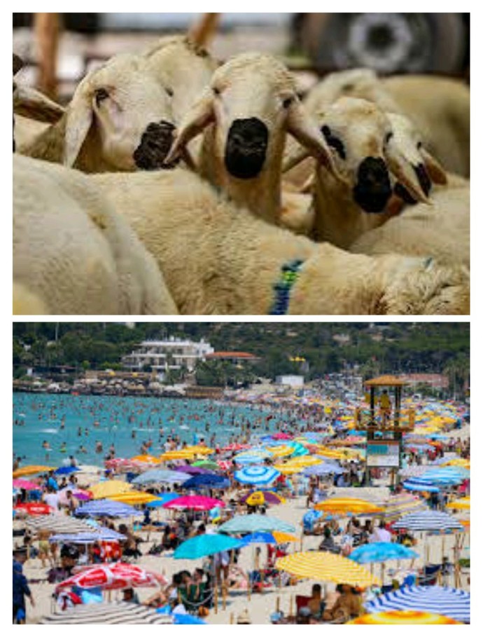 Sizin için bayramlar ziyaret mi yoksa tatil mi nasıl tanımıyorsunuz?