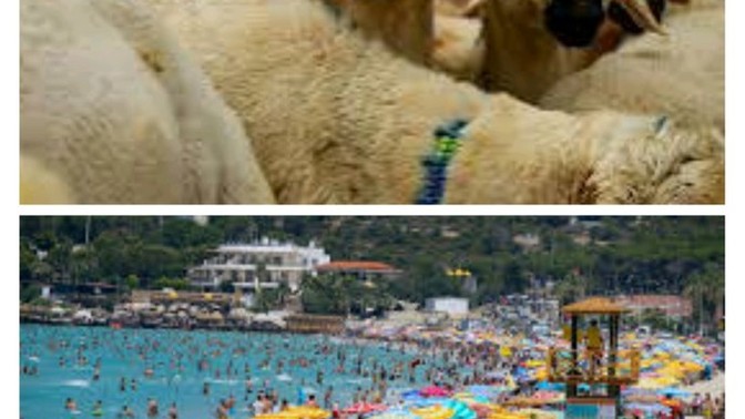 Sizin için bayramlar ziyaret mi yoksa tatil mi nasıl tanımıyorsunuz?