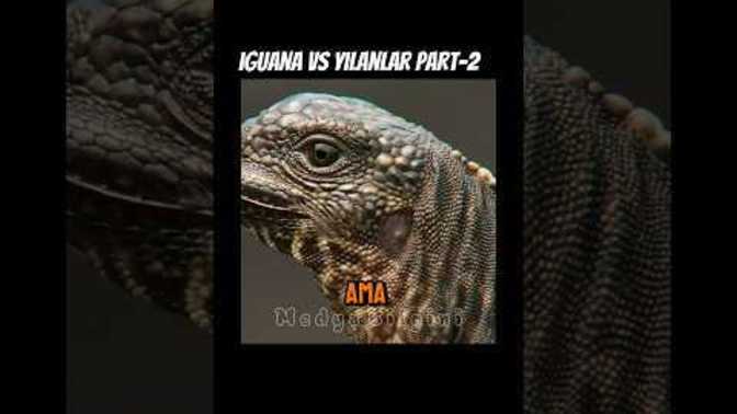 Troll belgesel izlemeyi sever misiniz?