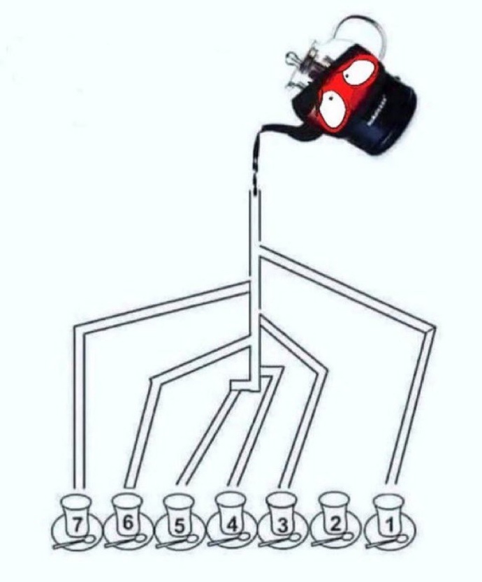 Sizce ilk kaç numaralı bardak dolar?