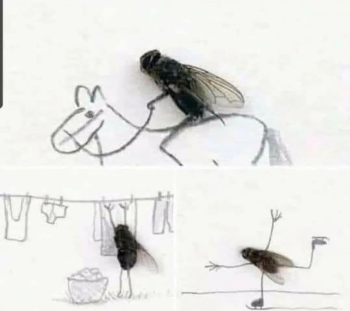 Görselini en iyi ifade eden kısa notunu buraya ekleyebilirsin..