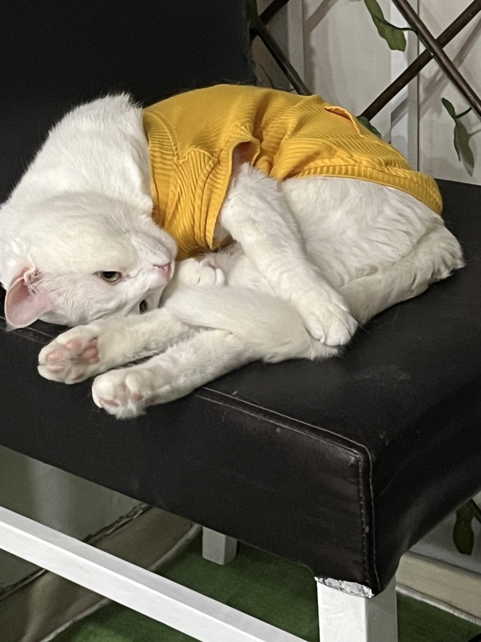 Masum durduğuna bakmayın çok cadoloz aynı ben