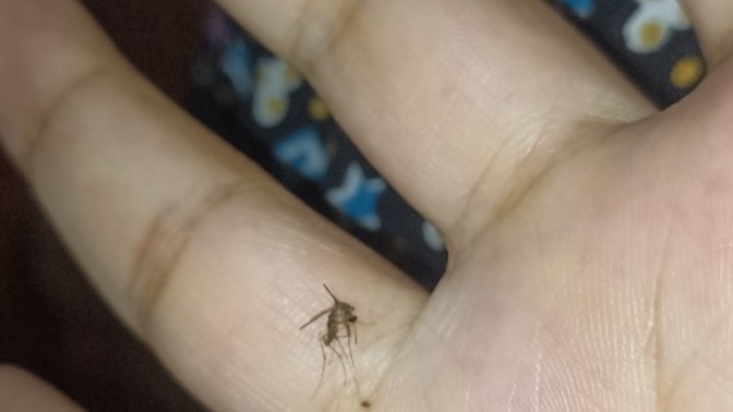 Bugünün kurbanı bu arkeaş oldu?
