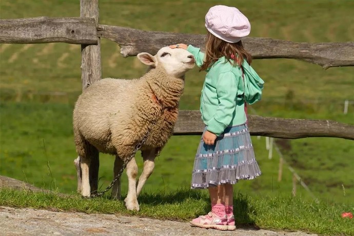Kurban 🐑 Bayramınız nasıl geçti 1 gün de neler yaptınız?