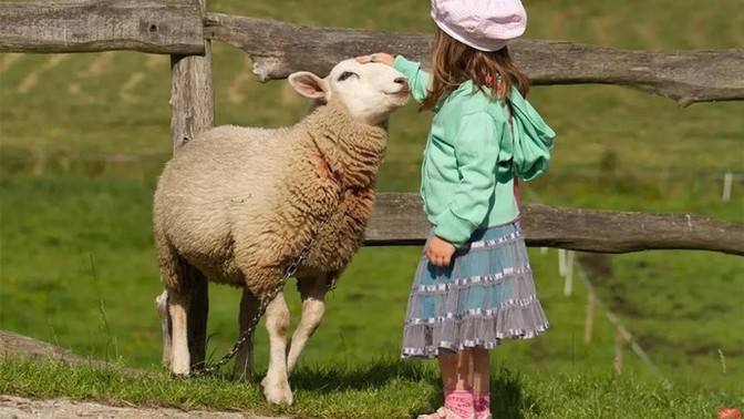 Kurban 🐑 Bayramınız nasıl geçti 1 gün de neler yaptınız?