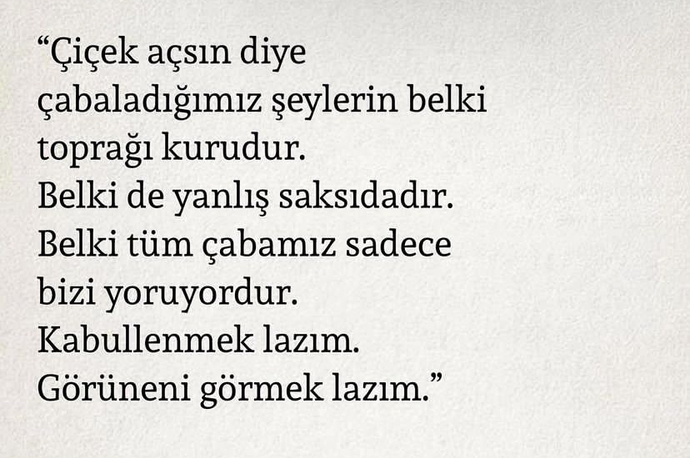 Boykot yapmayan insanlara karşı tepkiniz nedir?
