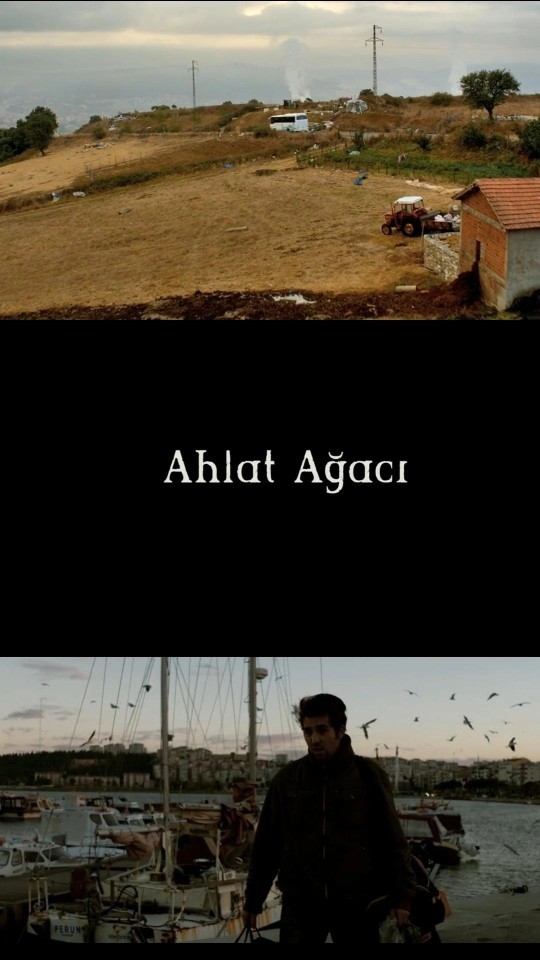 Ahlat Ağacı nasıl bir film boşuna 3 saatimi vermek istemiyorum?