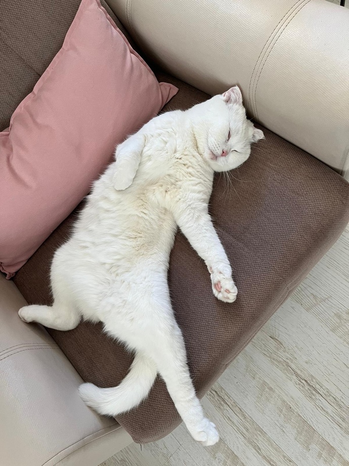 Anlık ruh halinizi anlatan bir görsel paylaşır mısınız 😂?