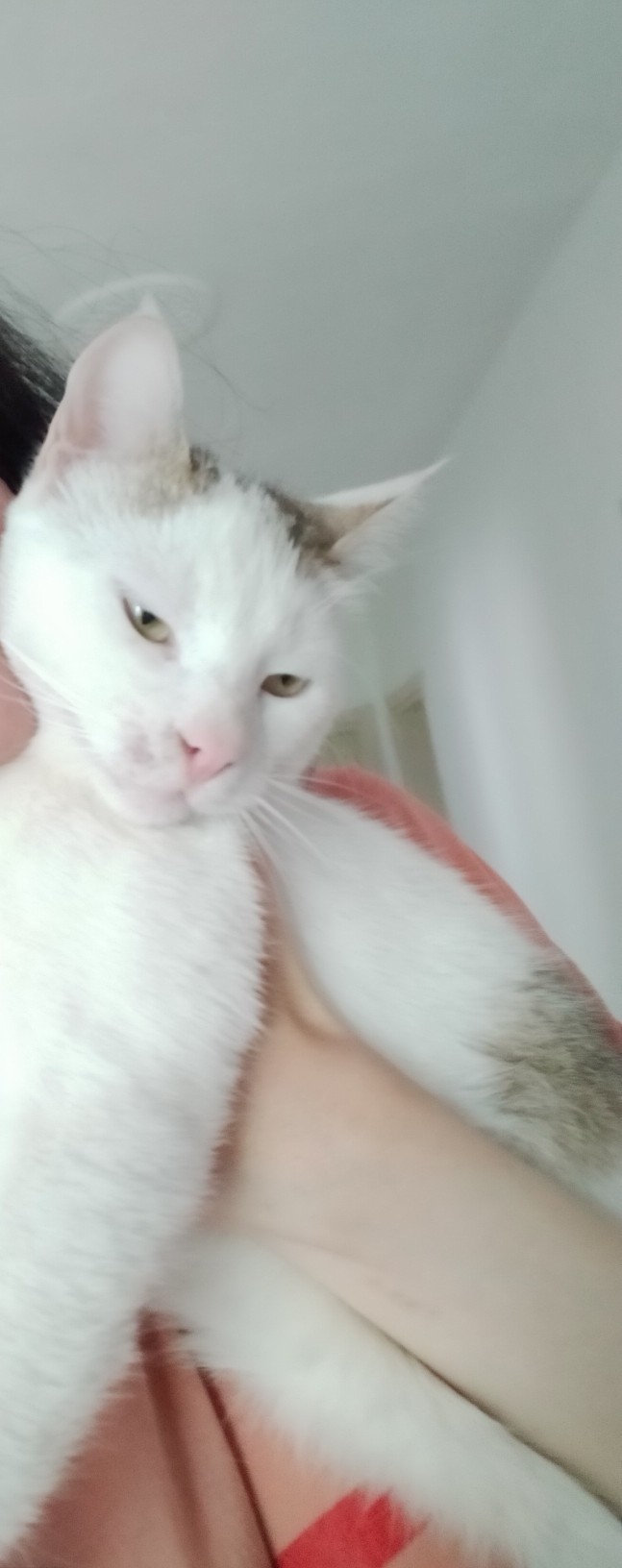 Anlık ruh halinizi anlatan bir görsel paylaşır mısınız 😂?
