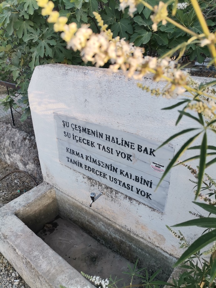 Enerjiniz nasıl, iyi hissediyor musun?