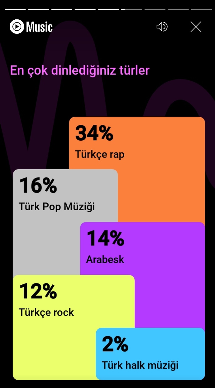 Müzik özetiniz nedir?