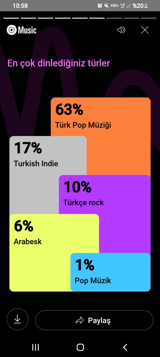 Müzik özetiniz nedir?