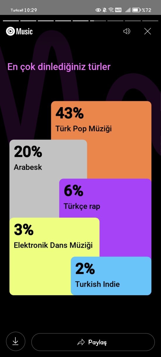 Müzik özetiniz nedir?