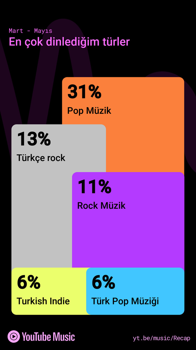 Müzik özetiniz nedir?