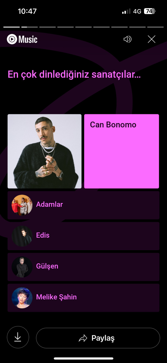 Müzik özetiniz nedir?