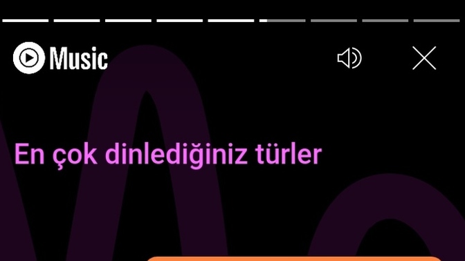 Müzik özetiniz nedir?
