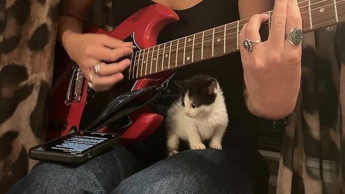 Hangi müzik aletini kullanmak istersiniz?