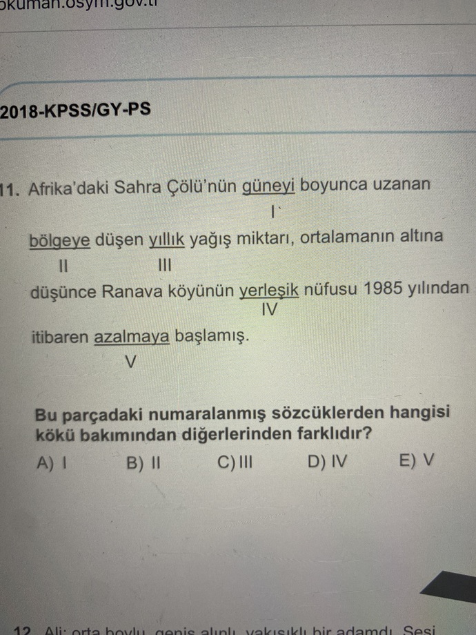 Bu sorunun cevabı nedir ve neden?