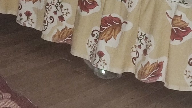 Köyde tek başınıza kalabilir misiniz?
