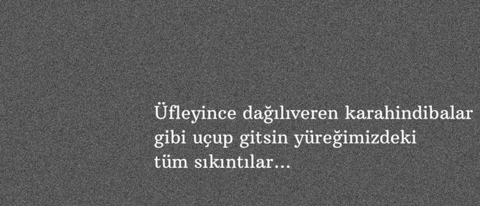 Bazı karahindibalar dağılmıyor ki ama. 🤷‍♀️