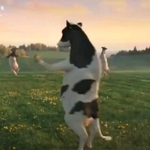 Hayatınızda hiç inek sağdınız mı ya da sağmak ister miydiniz?