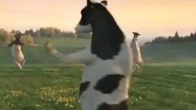 Hayatınızda hiç inek sağdınız mı ya da  sağmak ister miydiniz?