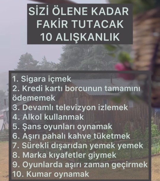 Bu maddeler sizce fakirlik göstergesimi?
