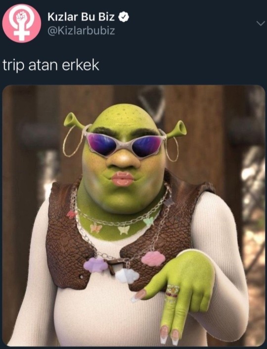 Günümüz erkeklerinin kızlardan rol çalması hakkında ne düşünüyorsunuz?