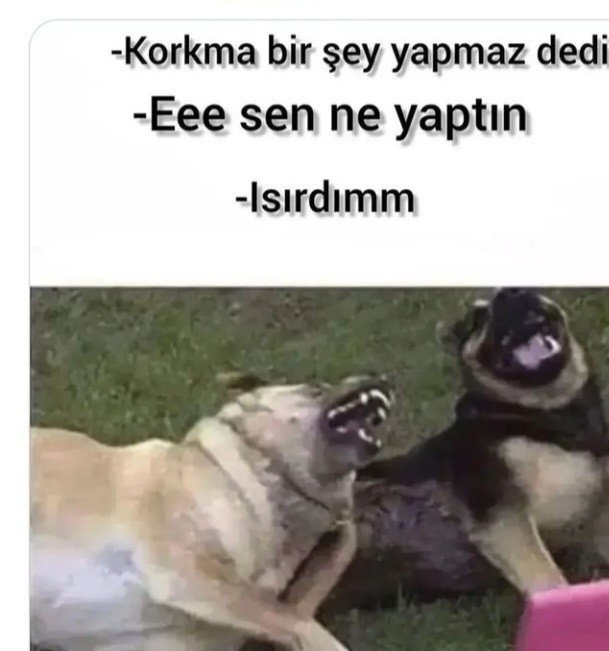 Kimler kilo vermeye uğraşıyor?