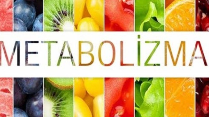 Metebolizman ne kadar hızlı?