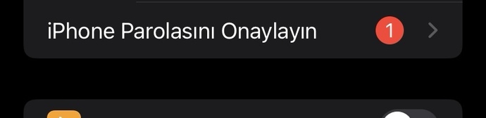 Bu neden gitmiyor ya giriyorum da sifreyi?