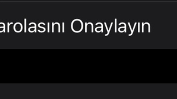 Bu neden gitmiyor ya giriyorum da sifreyi?