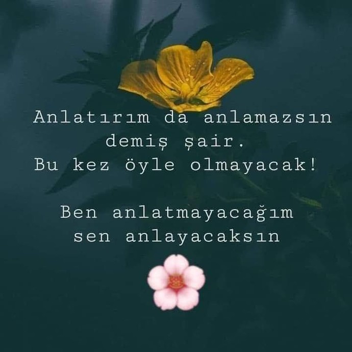 Anlaşıldığınızı düşünüyormusunuz?