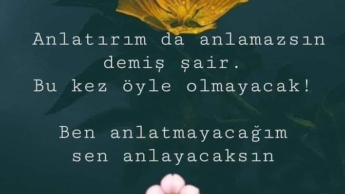 Anlaşıldığınızı düşünüyormusunuz?