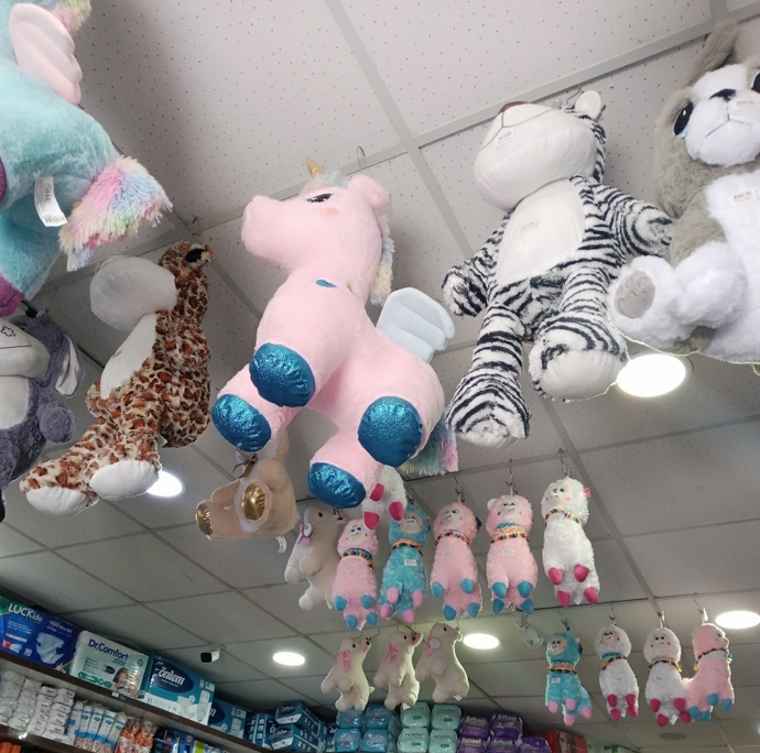 Unicorn buldum sahiplenmek isteyen var mı?🦄?