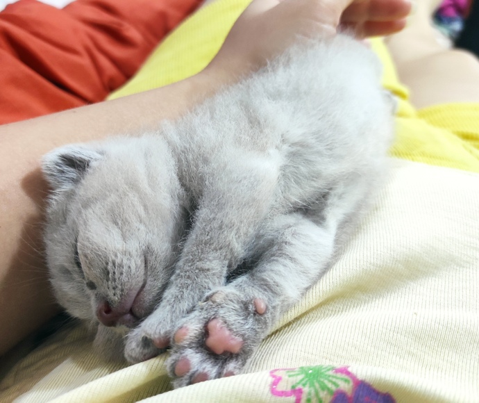 Aklınızı başınızdan alan detaylar neler?