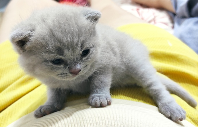 Aklınızı başınızdan alan detaylar neler?