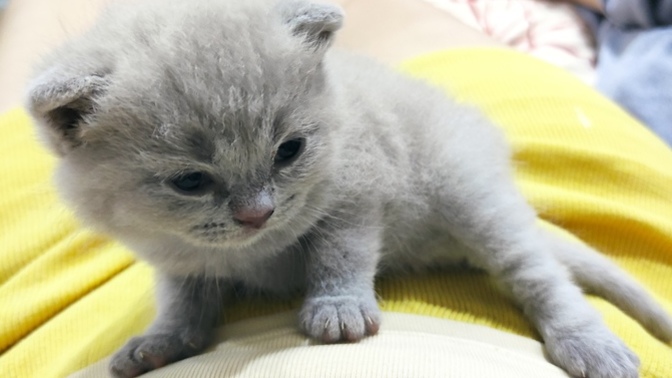 Aklınızı başınızdan alan detaylar neler?