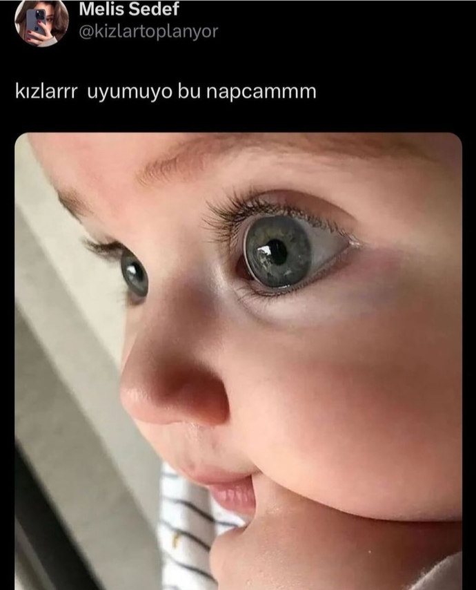 Nereyi ısırmak isterdiniz 😄?