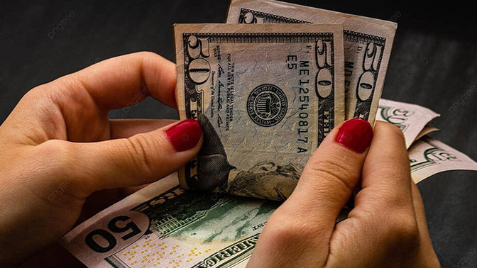 Elimde 51 bin lira var, bunu neye yatırsam acaba?