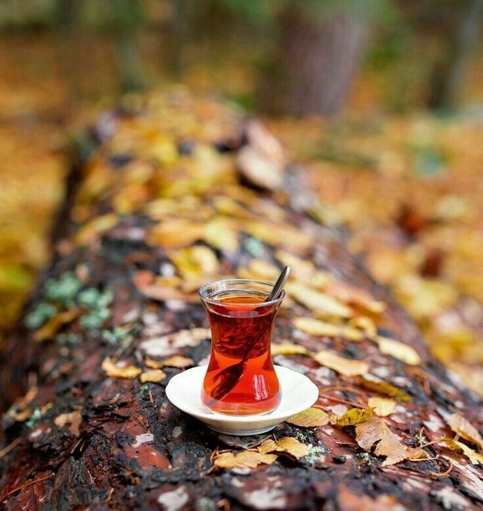 Aşk olurdu. Herkesin damak zevkine farklı şekillerde hitap ediyor. Kimi koyu, kimi açık, kimi şekerli veya şekersiz...