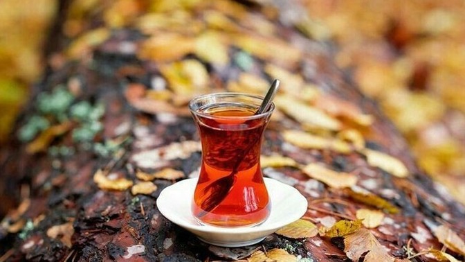 Çᴀʏ ʙɪʀ ᴅᴜʏɢᴜ ᴏʟꜱᴀʏᴅı ɴᴇ ᴏʟᴜʀᴅᴜ?