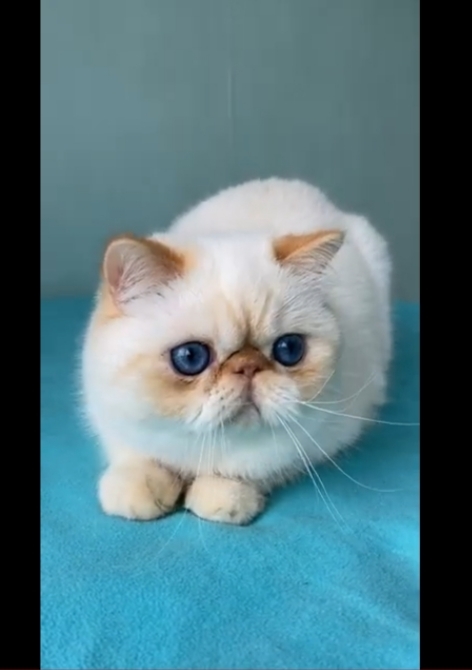 Benim Kızım tatlımı😻?